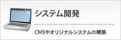 システム開発